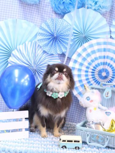 20231116フェルくん